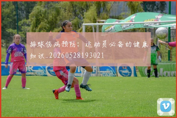 排球伤病预防：运动员必备的健康知识_20260528193021