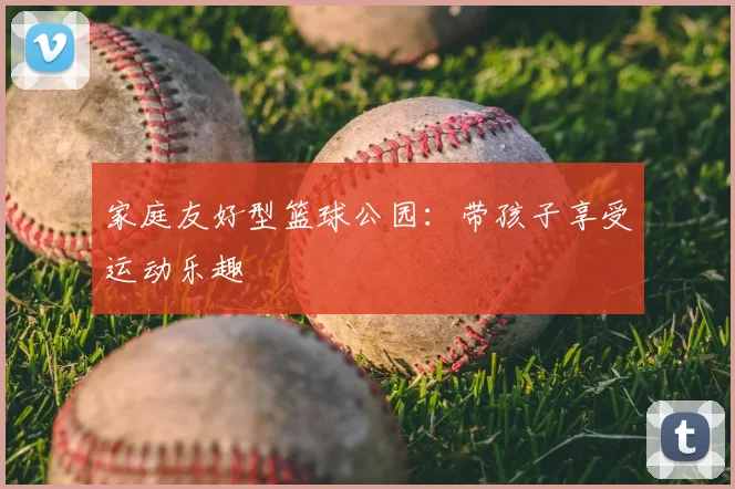 家庭友好型篮球公园：带孩子享受运动乐趣